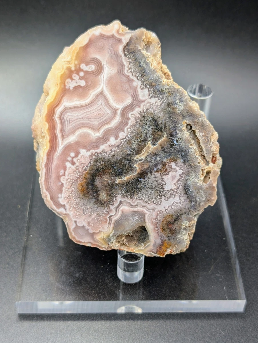 Laguna Agate for sale | eBay