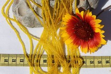 Trans Citrine 11/0 Czech Seed Beads Jewelry Crafts Making/Hank