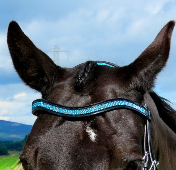 FSS 2 Row CURVE SHAPE PATENT Crystal Bling Browband Custom Listing