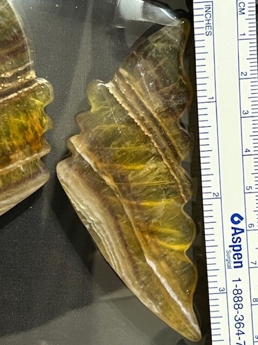 SPECTACULAR 3 1/2" GOLDEN FLUORITE BUTTERFLY WINGS. AWESOME TRANS-ILLUMINATION - Picture 23 of 24