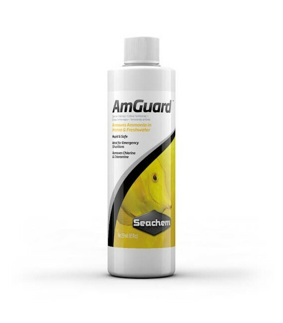 Seachem Amguard 250 ml (Anti ammoniaca)