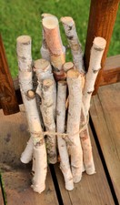 Birch Log Bundle, 11 White Birch Branches