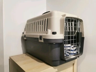 german shepherd older dogs for sale