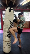 Punch bag