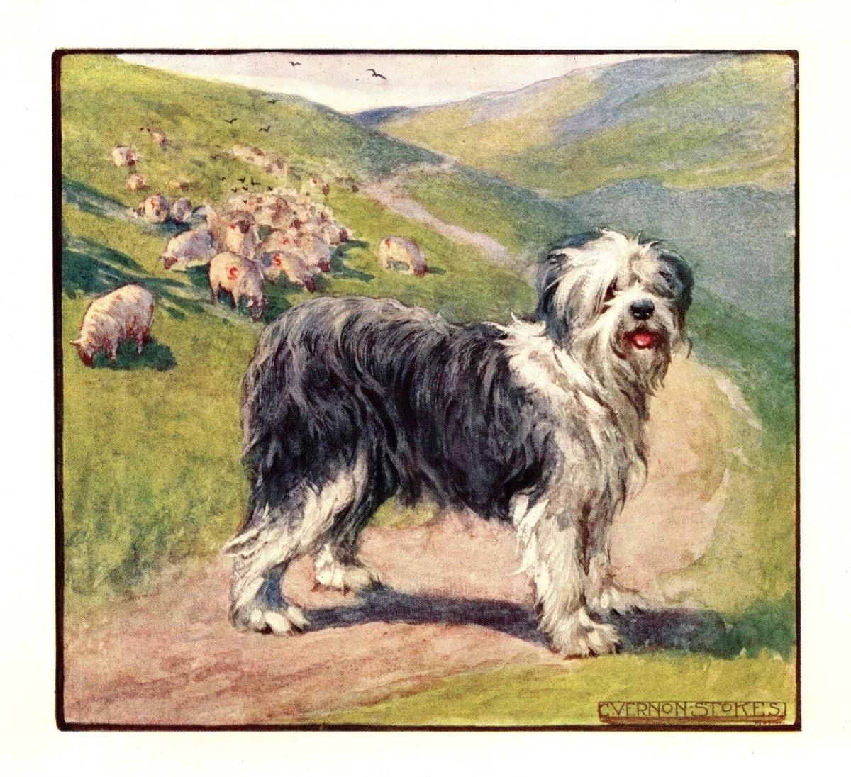 Plaque Murale Ancienne - Chien Berger Anglais (Sheepdog) - Jaune - 15x20 Cm