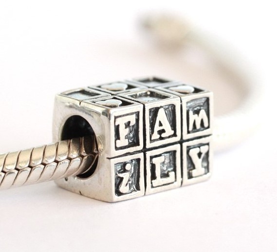 NEW 925 Sterling Silver European Bracelet Charm Bead Family