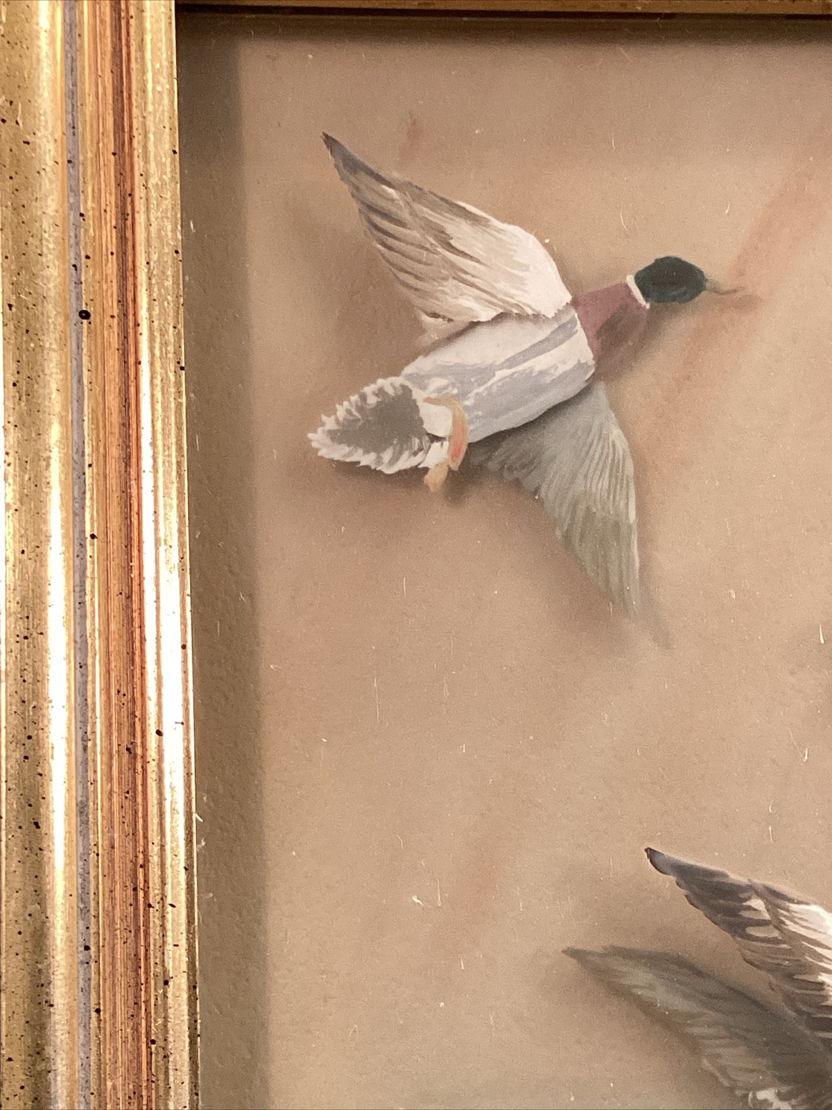 Picture 4 of 16
