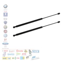 COPPIA 2 MOLLA A GAS COFANO BAGAGLIAIO FIAT MULTIPLA 186 PEUGEOT 207 1.4 1.6 1.9