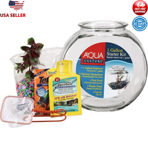 Glass Fish Bowl Starter Kit 1 Gal Betta Fish Includes Gravel Plants Food Round