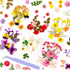 Pressed Dried Flowers for Resin Crafting, Natural Preserved Petals  Leaves for
