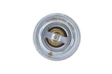 Thermostat Audi 60