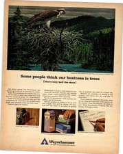 Weyerhaeuser Vintage Osprey Ad 1960s Forestry Wood Products Magazine Print AD044
