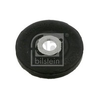 Febi Bilstein 06668 Lagerung, AchsträGer