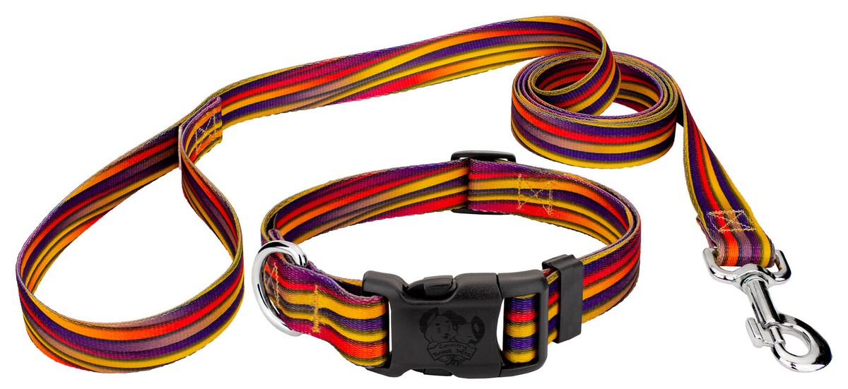 Country Brook Petz® Deluxe Mellow Waves Dog Collar and Leash