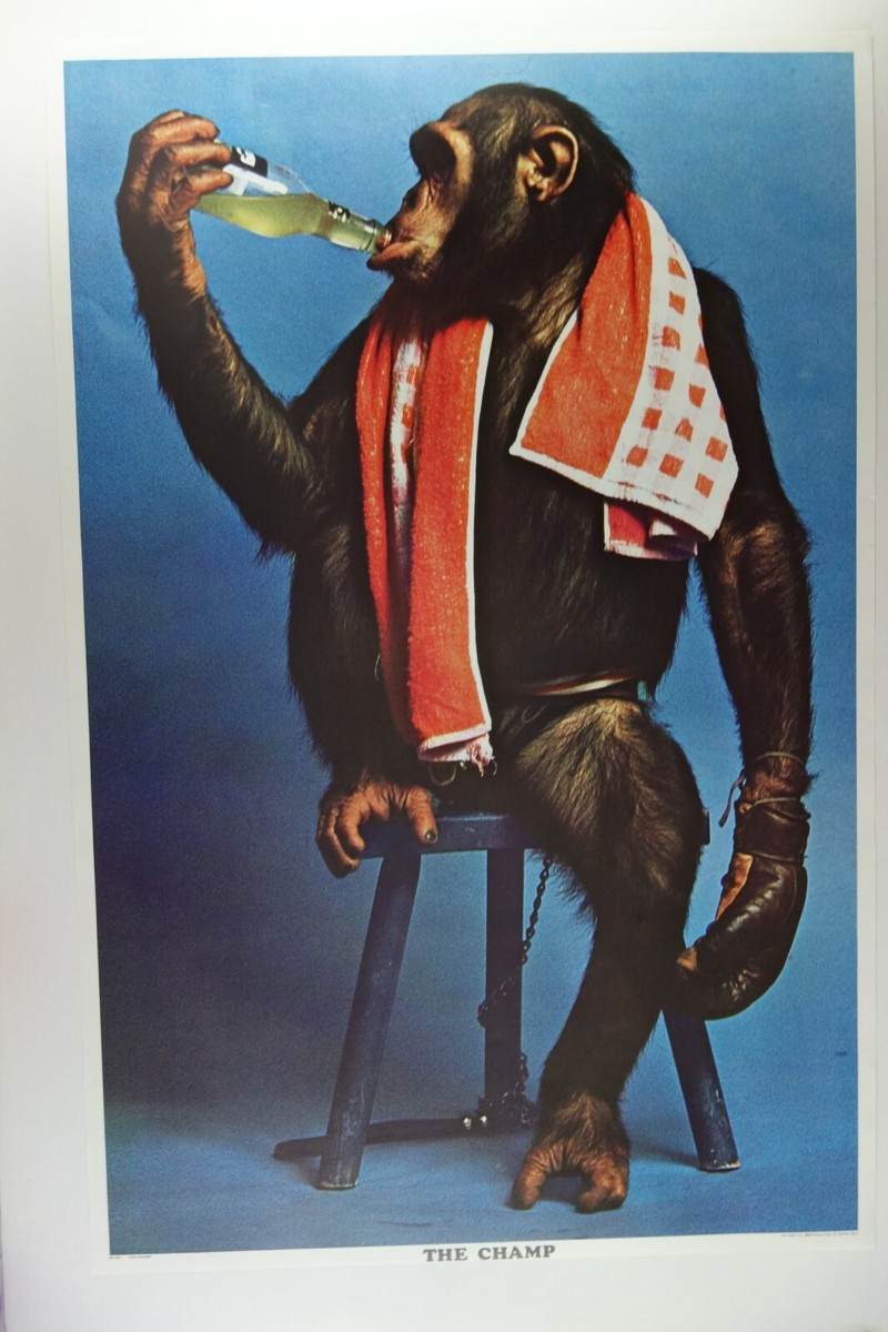 当時物　秀吉 Any monkey can come into power 当時物 秀吉 Any monkey can come into power 当時物 秀吉 Any