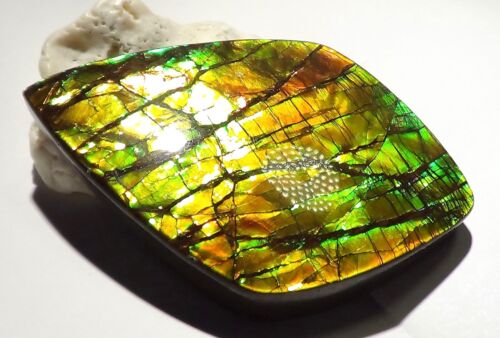 340 Carat.!! I Sammler Ammolite /Drachenschuppe Rot Grün-Golden-Orange + VIDEO - Bild 4 von 7