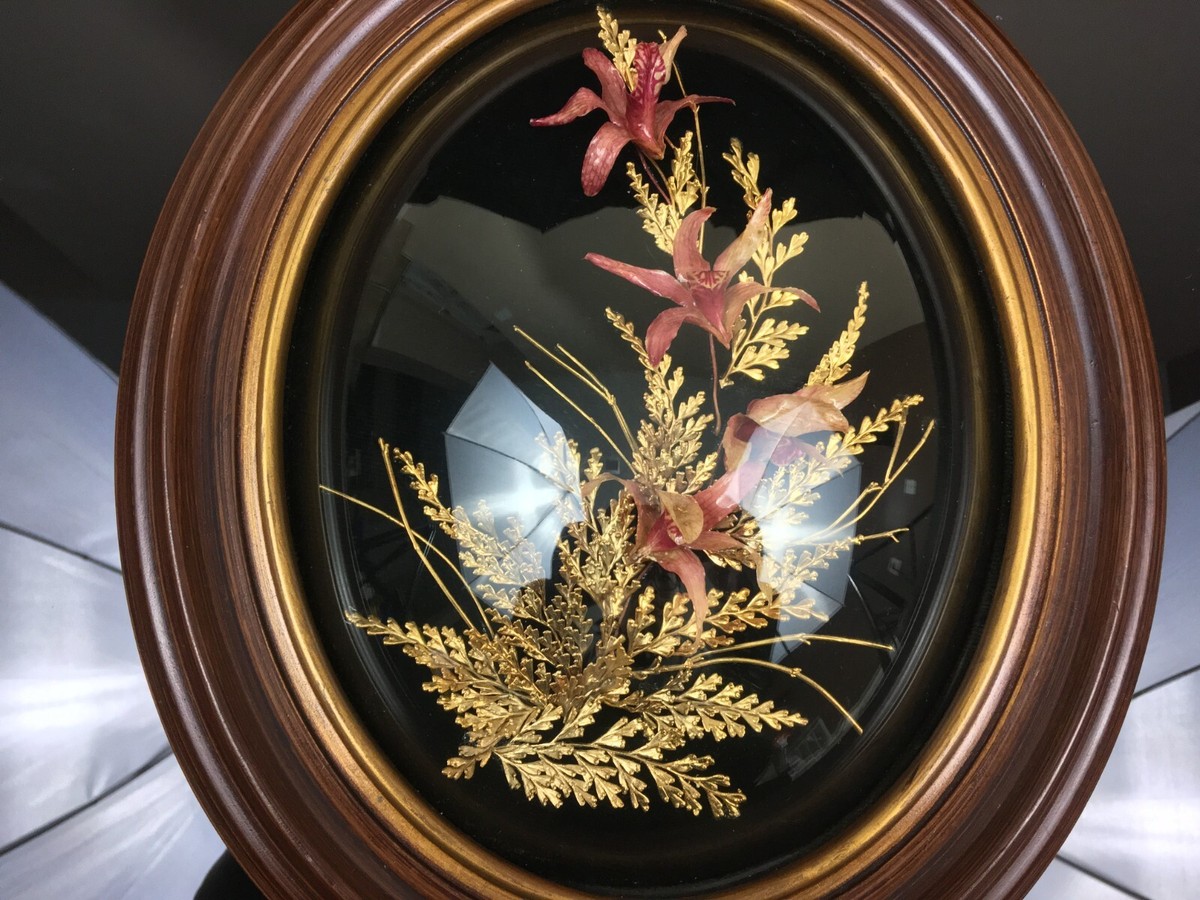 リアルフラワー　２４Ｋ　ピュアゴールド　壁掛け　置物　ヴィンテージ　レトロ Flora Hawaii Maui LARGE Flower 24K Gold Dipped Hawaiian Fern Oval