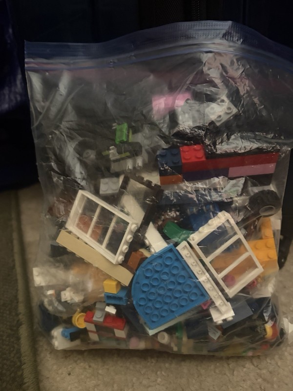 Gallon Size Bag Of Legos