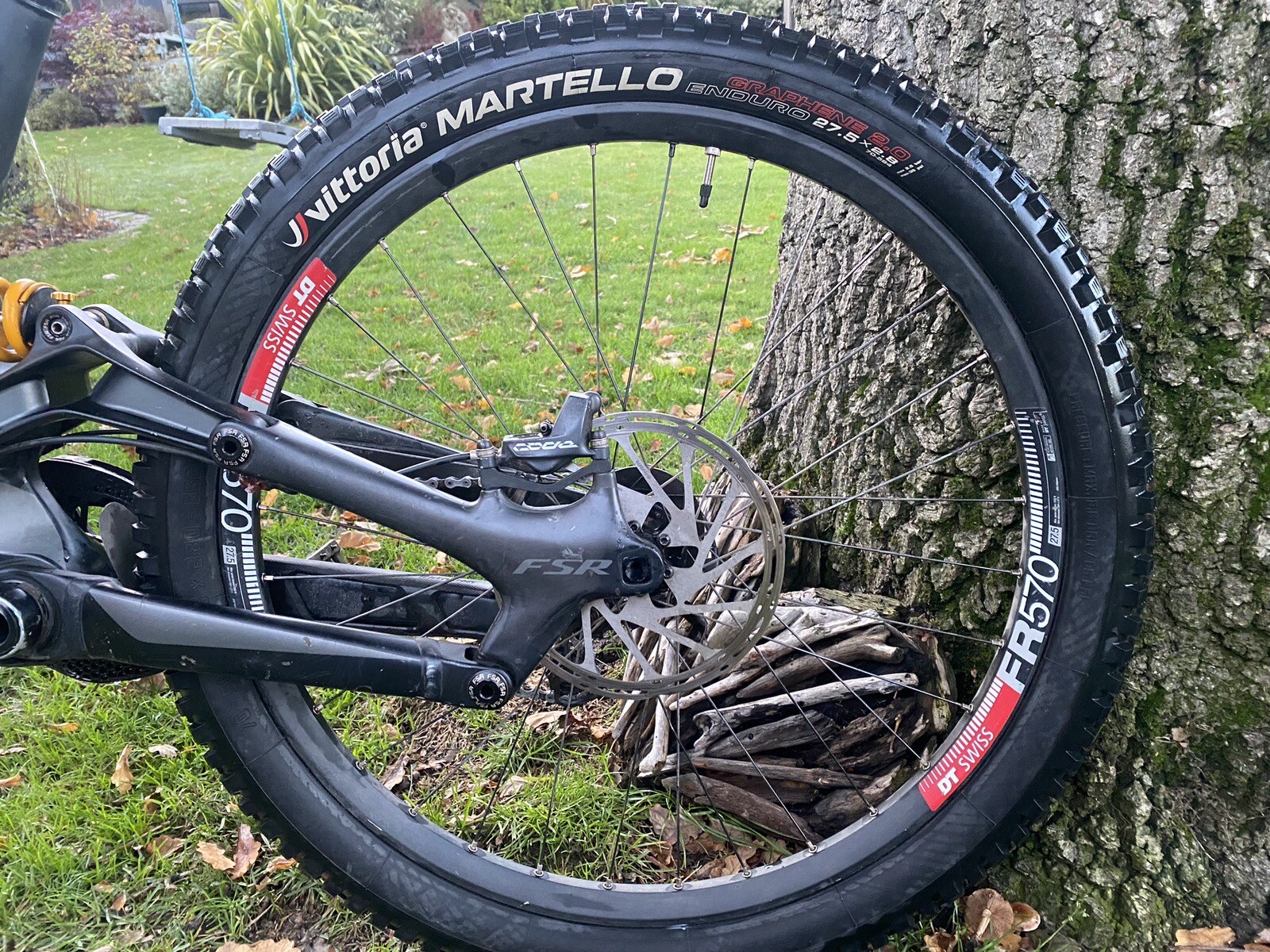 specialised downhill bike