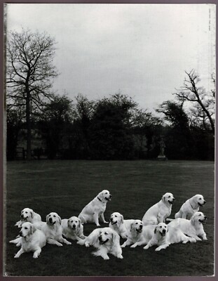 GIANNI VERSACE UOMO catalog #31 F/W 1996 by BRUCE WEBER MARK