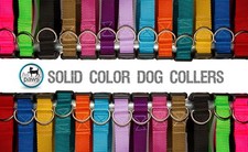 Solid Color Dog Collar