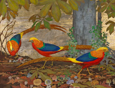Golden Pheasants colorful bird farmland wild ceramic tile mural backsplash