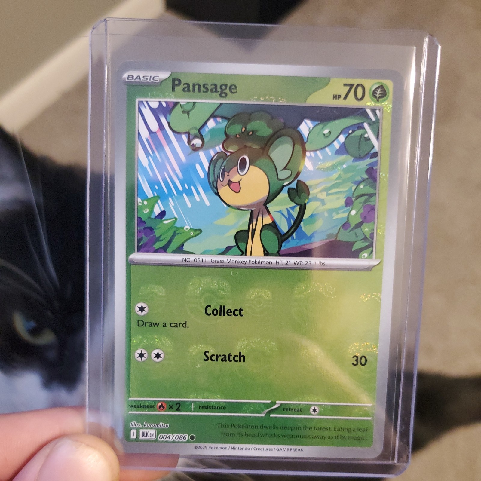 Pokemon TCG Black Bolt Pansage Masterball Reverse Holo blk 004/086 NM English
