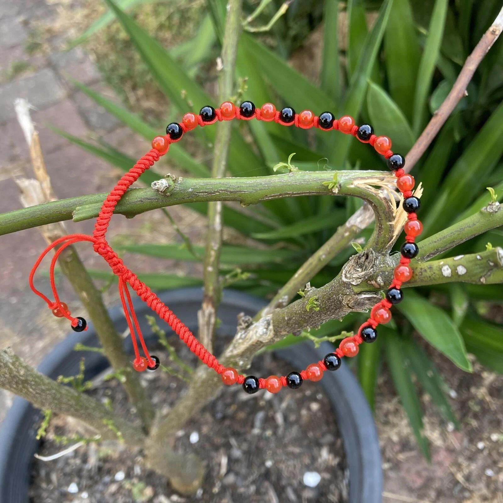 Picture 15 of 24