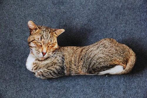 50cm Cute 3D Cat Plush Toys Soft Doll Sleep Cushion Cartoon Doll Home Decor Gift - Picture 12 of 25