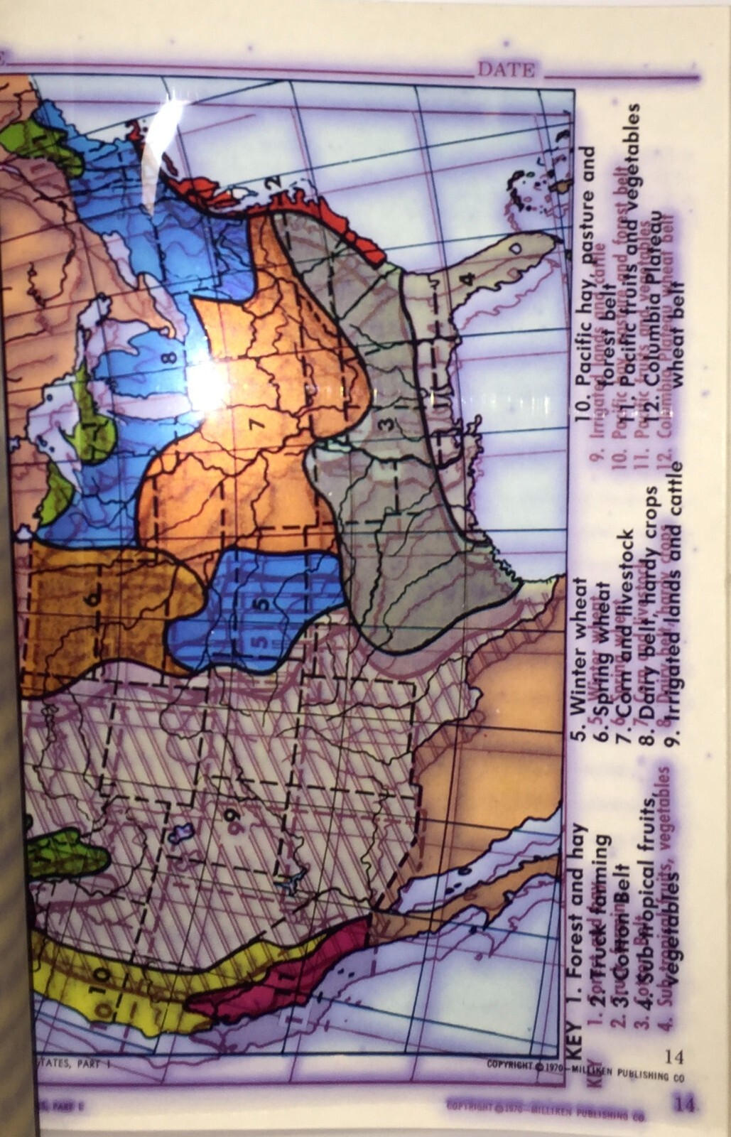 Picture 3 of 5