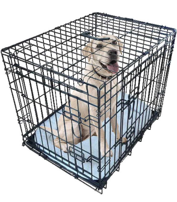 Ellie bo top dog cage