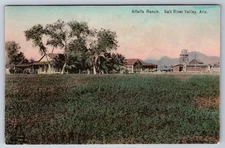 View Of Alfalfa Ranch Salt River Valley Arizona AZ c1910s Postcard