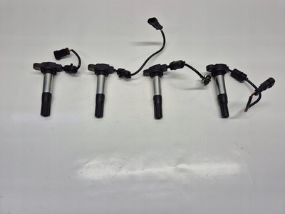 ELDOR 78430002 857501 Tuono V4 Factory 1100 Zündspulen 1 Stück