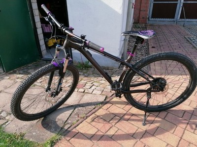 Ns Bikes Eccentric Lite 2020 29 Zoll