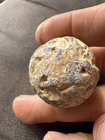 Civil War “Bitten Bullet” Ball Lead