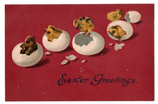 1900s Easter Postcard Chicks Eggs Cursive Red...