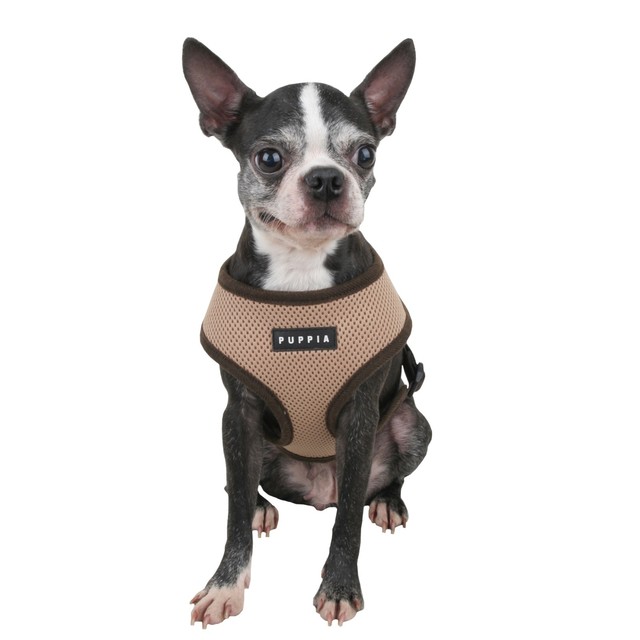 puppia harness sale