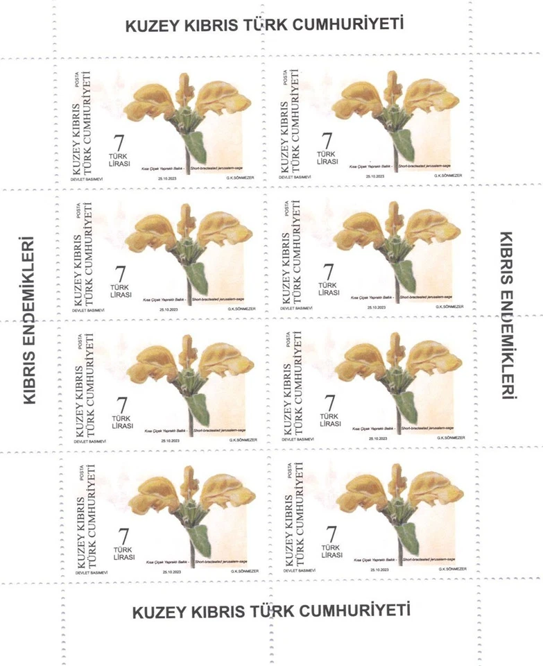 ENDEMIC PLANTS - TURKISH CYPRUS -2023 - SHEETS - Image 2 of 3