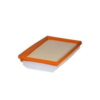 Filtron AP 078/3 Luftfilter Passend FüR Fiat