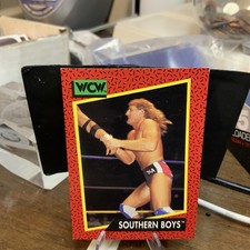 Southern Boys 1991 Impel WCW #129 WCW Wrestling Card