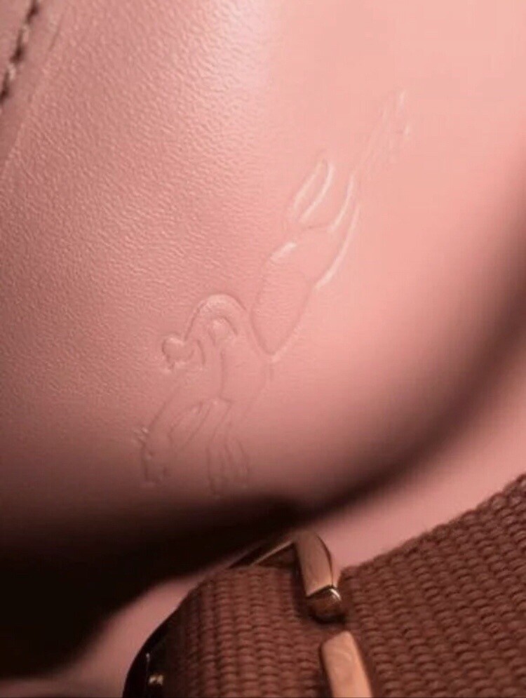 Longchamp 2.0 New Petal Pink Leather Backpack | eBay display picture 2