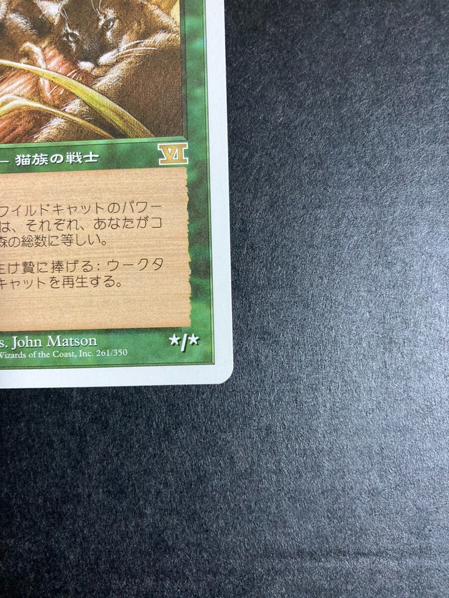 MTG 英語　ウークタビーワイルドキャット　foil ７版 ウークタビー・ワイルドキャット 7版 foil 英語 ウークタビー