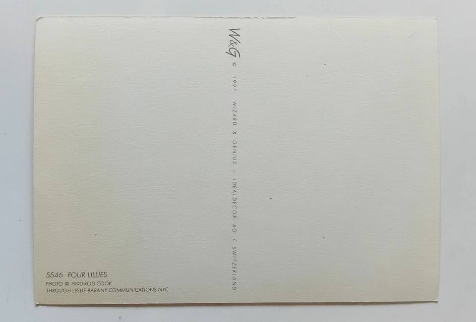 Four Lillies - Foto de Rod Cook Original 1991 Postal Foto 2 de 2