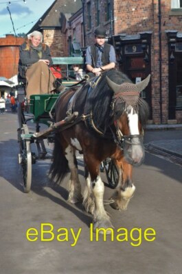 Foto 6x4 Pferd auf einem Spaziergang Eine Runde machen, bevor Freier auf einer Schleife um 2012