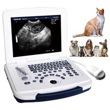 Laptop Vet Ultrasound Machine Scanner 5.0Mhz Micro-Convex probe For pregnancy