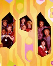 Rowan & Martin's Laugh-in Brown Henry Gibson Alan Sues Lily Tomlin 24x36 Poster