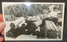 1950s Big Logs at Saw Mill On Mount Lemmon, n...