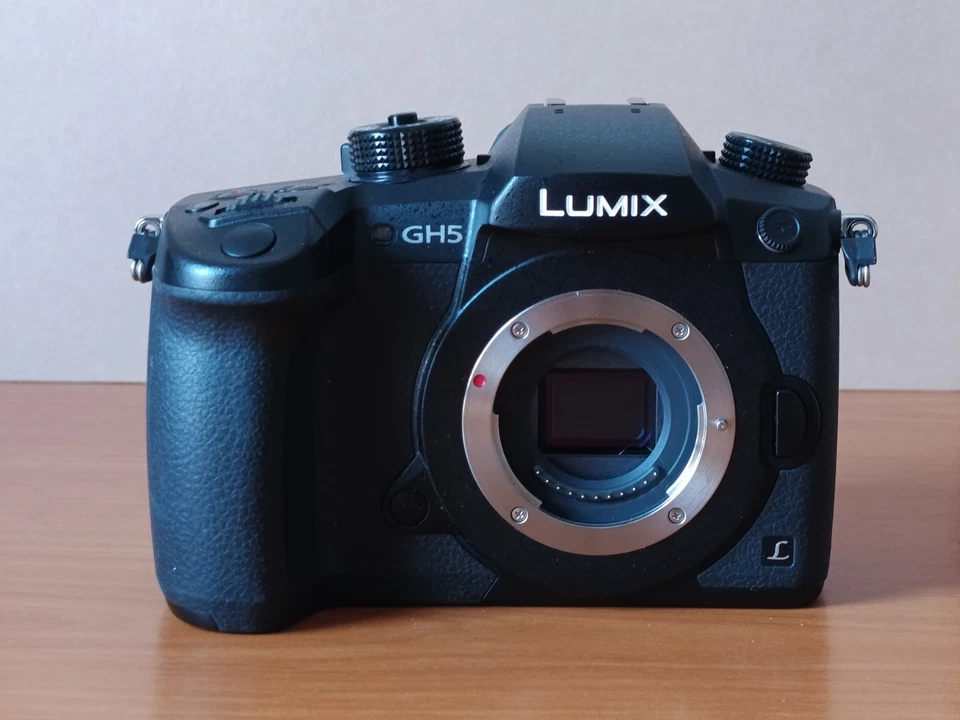 Panasonic Lumix GH5, photo 1 sur 5