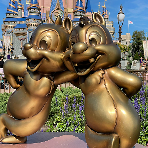 ParkPins | eBay Stores