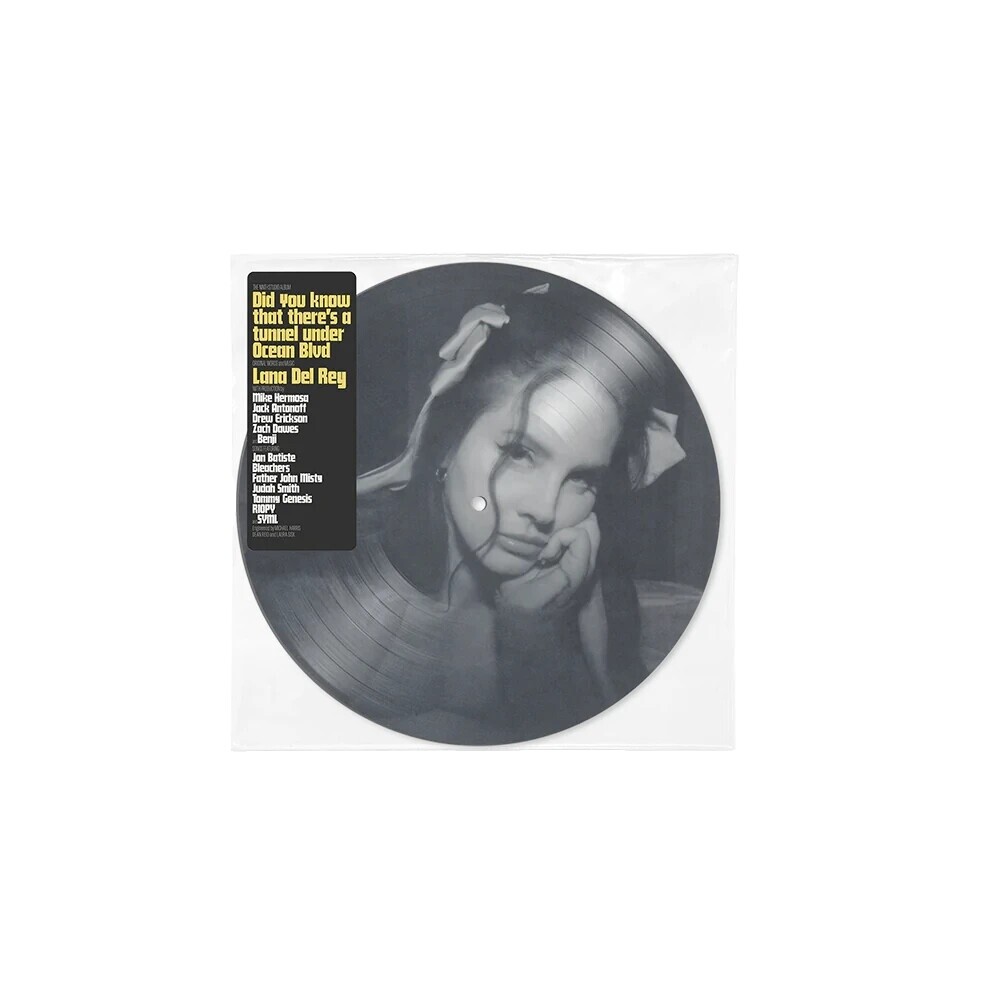 新品未開封 Lana Del Rey LPレコード s-l1200.jpg